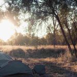 swag tent setup in forest for perfect outdoor