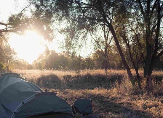 swag tent setup in forest for perfect outdoor