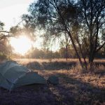 swag camp in the forest