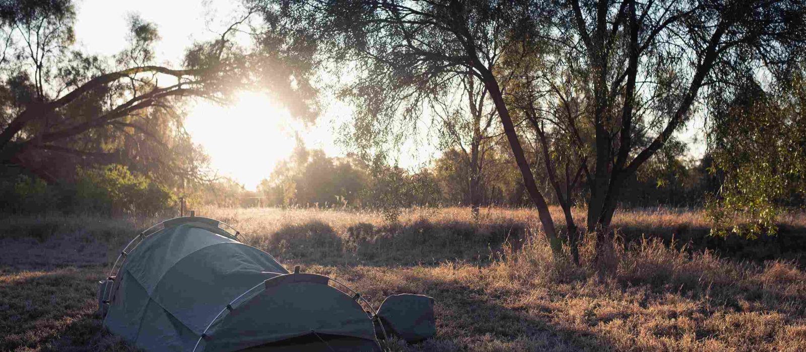 swag camp in the forest