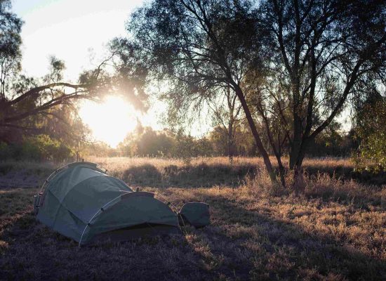 swag camp in the forest