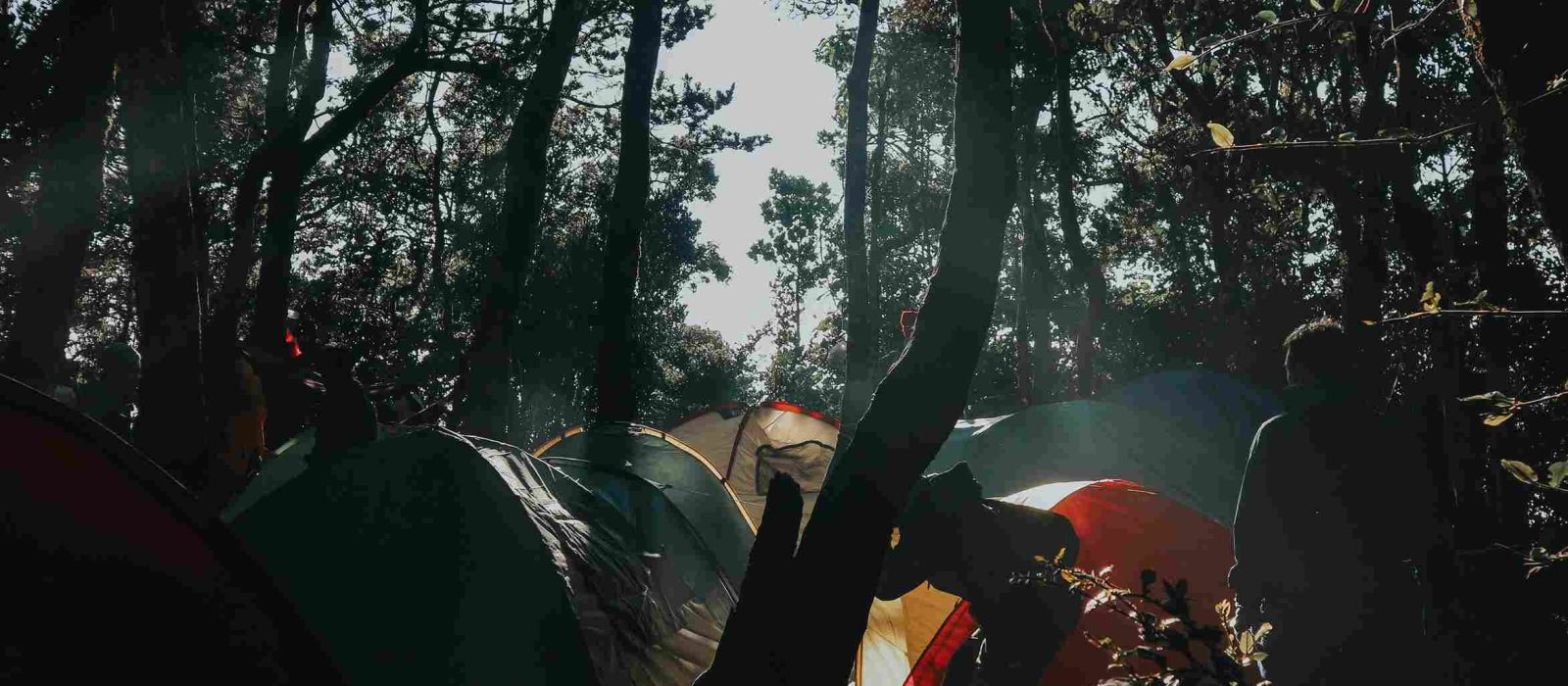 camping in jungle