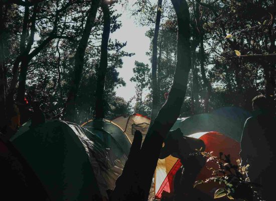 camping in jungle