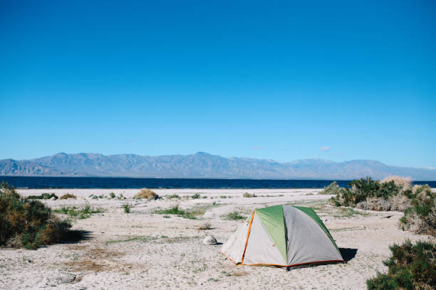 beautiful tent setup for camping at coachella
