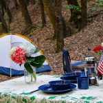 american independence year event