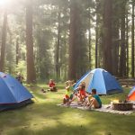 family camping in summer