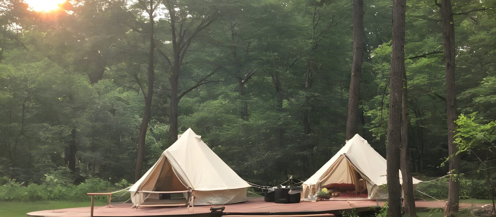 beautiful glamping site in forest
