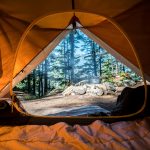 view of campsite from inside the tent
