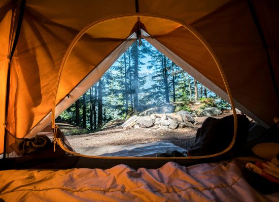 view of campsite from inside the tent