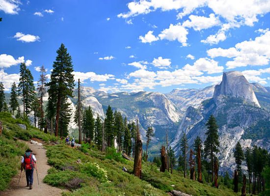 beautiful mountain view of yosemite camping site