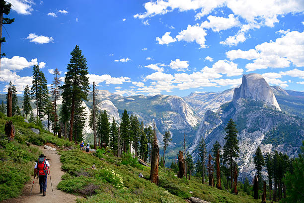 beautiful mountain view of yosemite camping site