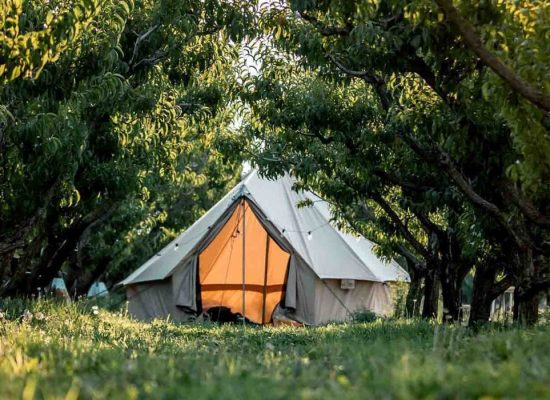 canvas bell tent in forest