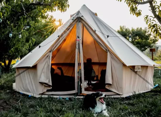 perfect bell tent setup for glamping