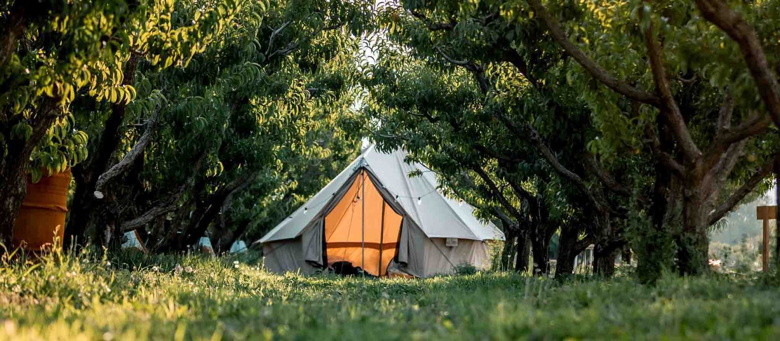 beautiful bell tent setup in the forest