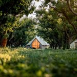 beautiful tent setup for camping