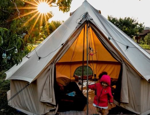 beautiful view of tent setup for camping