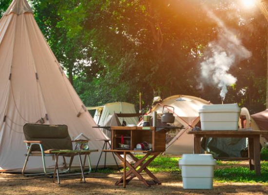 beautiful cooking setup on camping
