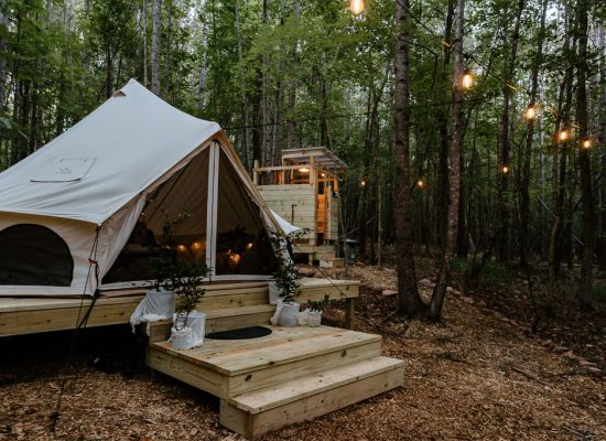 beautiful campsite for perfect camping in forest