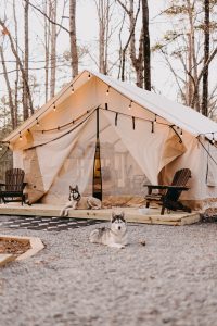 luxury wall tent glamping