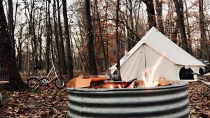 campfire in forest - camping adventure