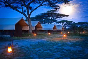 Serengeti national park - camping 