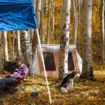 Man enjoying outdoors - camping with 4 season cabin tent