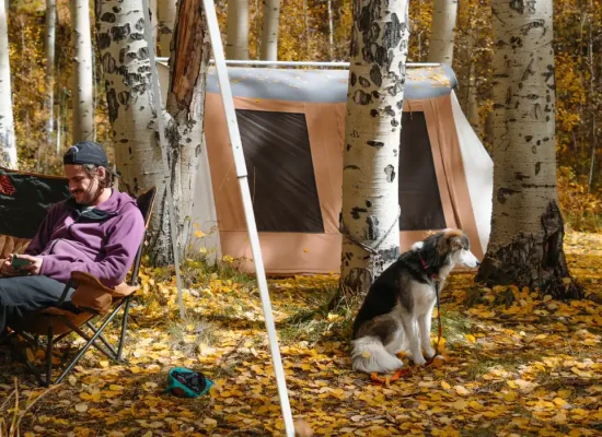 man enjoying outdoors with dog. camping with cabin tent