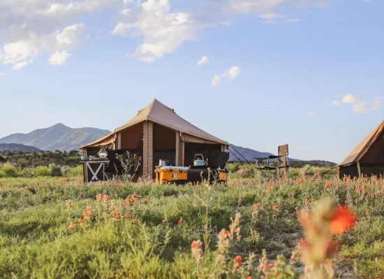 bell tent setup in plains for tent house living