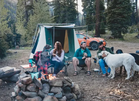 friends enjoying outdoors with campfire in forest