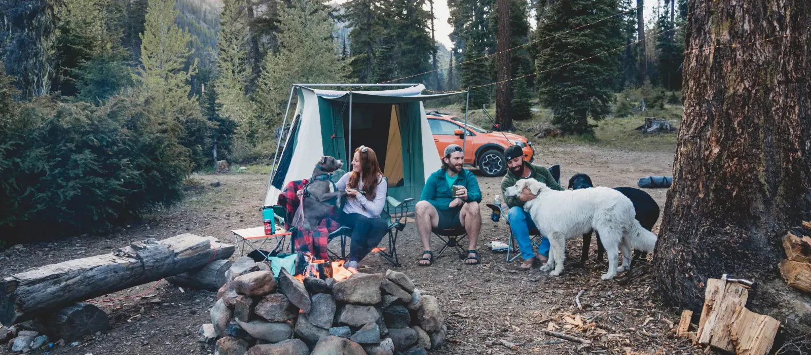 friends enjoying outdoors with campfire in forest