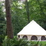 yurt tent setup in forest for outdoor camping