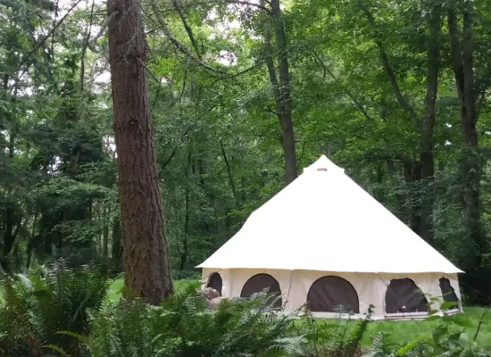 yurt tent setup in forest for outdoor camping