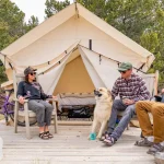 friends enjoying camping with organized gear