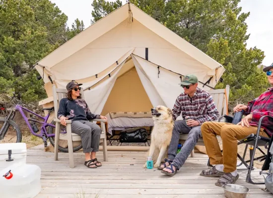 friends enjoying camping with organized gear