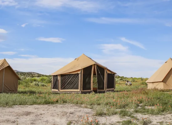canvas and modern tent setup in the plains for camping