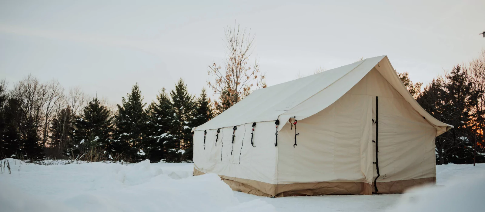 Wall tent in a snowy landscape at dusk