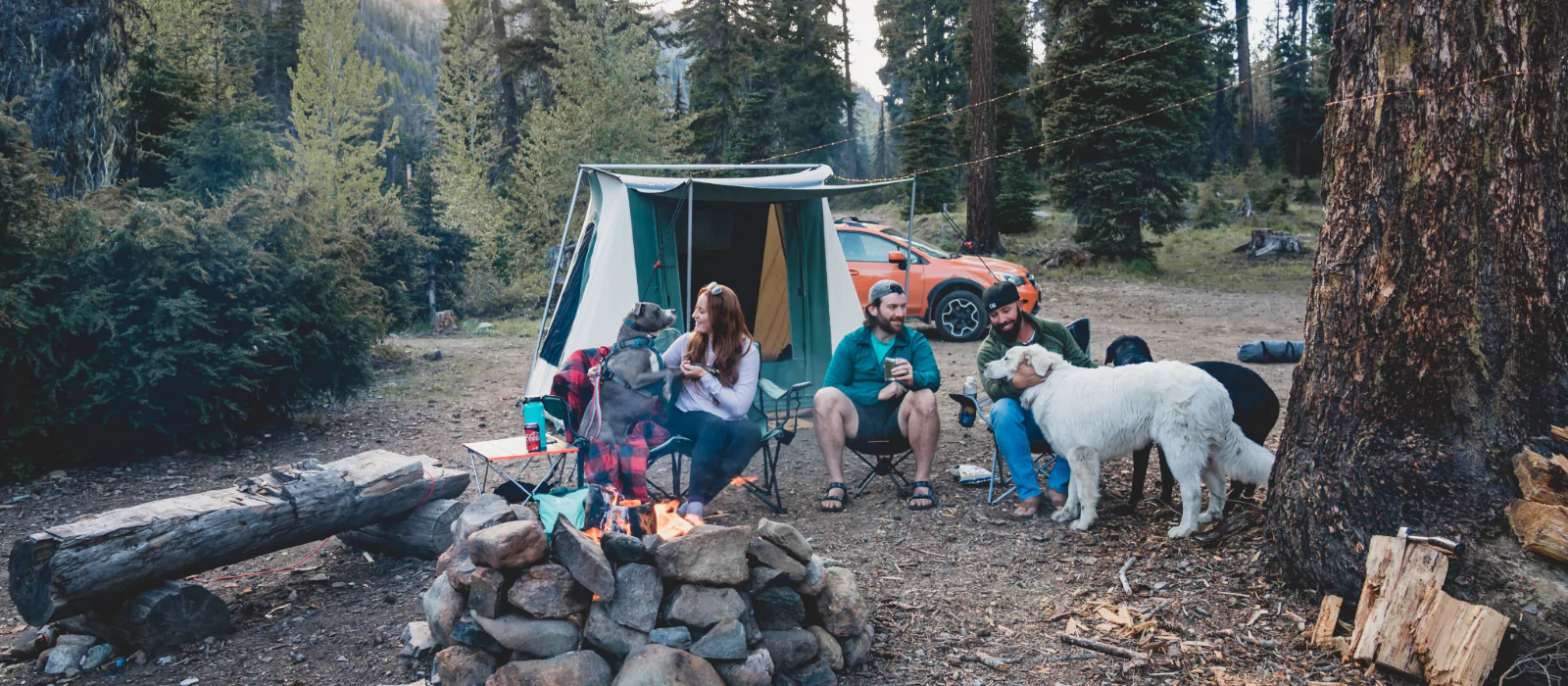 friends enjoying outdoors with dog