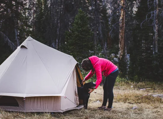 girl enjoying outdoors with her dog and camping in small 2 person tent in the forest