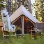 small 2 person tent setup for camping with dog