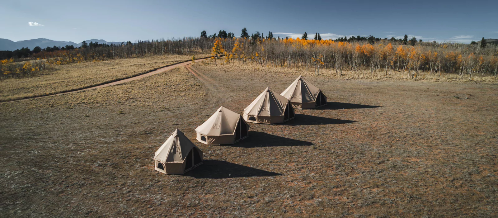 canvas yurt tents set up in a sparse field with autumn trees in the background