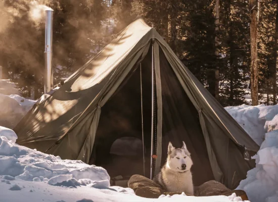 do enjoying snow with canvas tent with wood burning stove behind