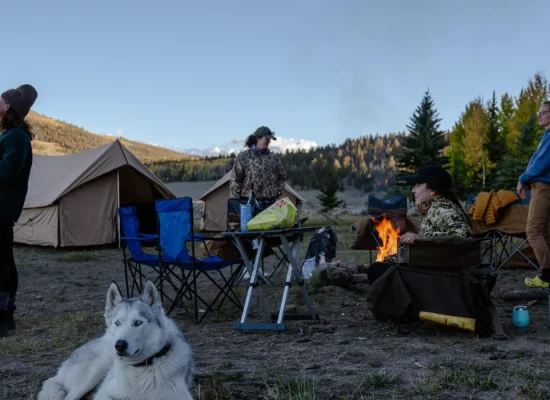 A family enjoying a camping trip in a forested area with tents, camping chairs, and a campfire, accompanied by a white dog, during early evening.