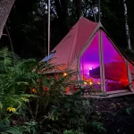 bell-tent-setup-in-forest-with-lightning-for-glamping