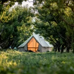women standing by canvas tent setup in forest covered with trees