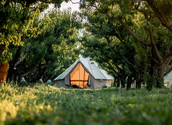 women standing by canvas tent setup in forest covered with trees