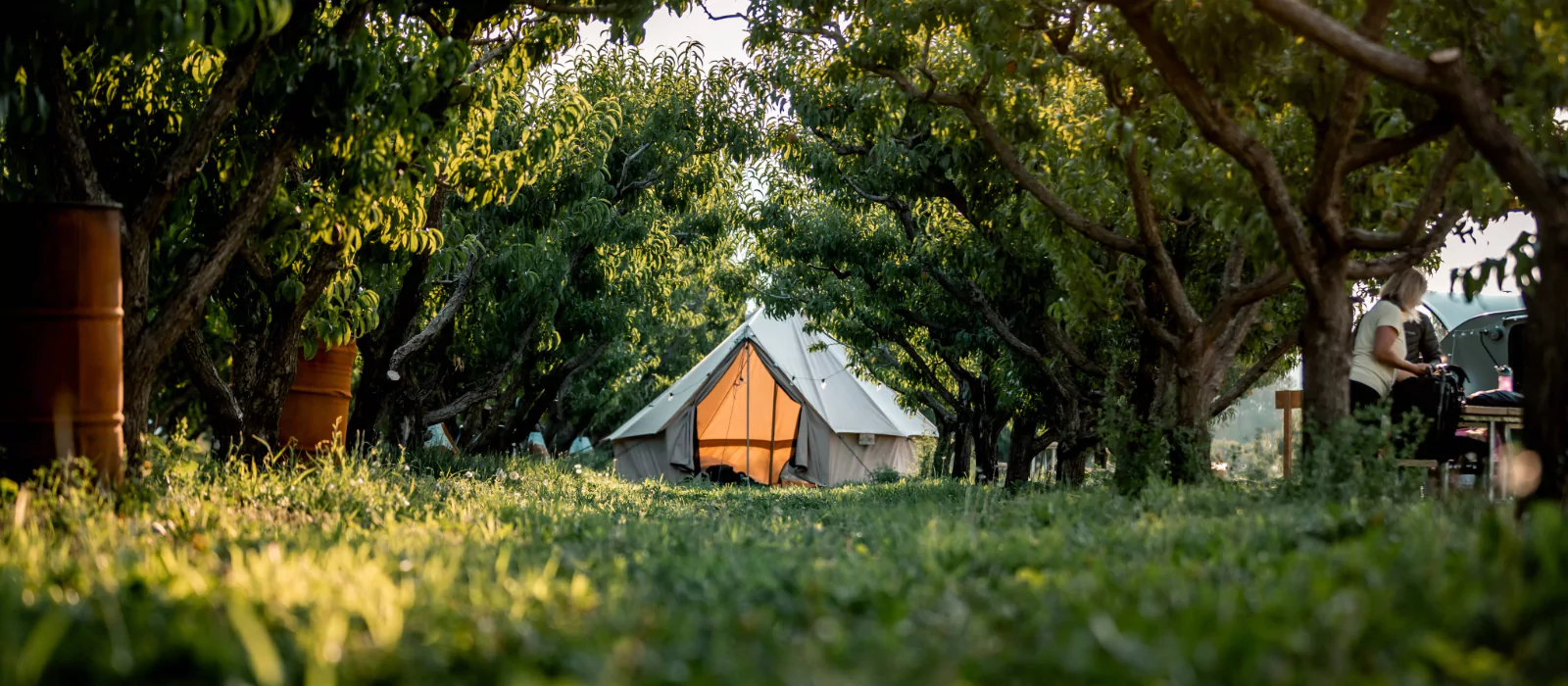 women standing by canvas tent setup in forest covered with trees