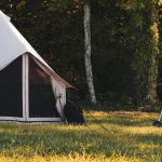 Spacious four-season tent set up in a scenic outdoor campsite, surrounded by lush greenery and camping essentials.