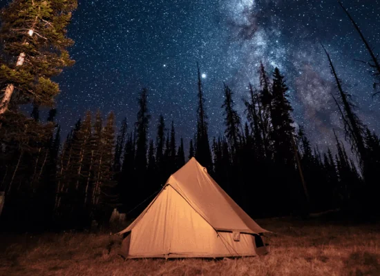 Cozy tent setup under a star-filled night sky, perfect for stargazing in the wilderness.