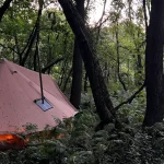 Canvas tent setup for dispersed camping in a dense forest with glowing interior lights