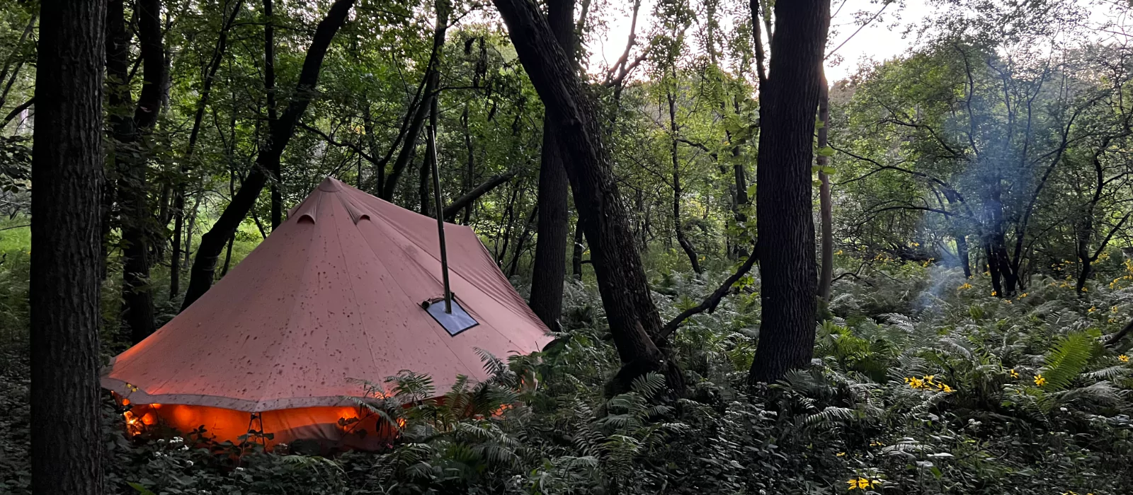 Canvas tent setup for dispersed camping in a dense forest with glowing interior lights